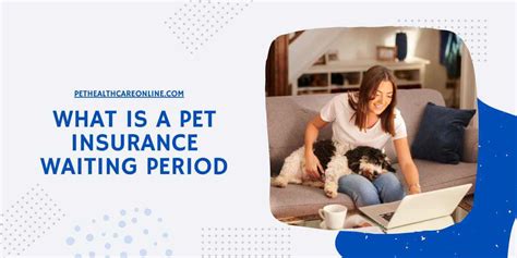 pet insurance short waiting period.